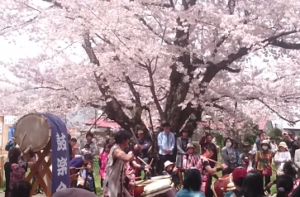観音寺川桜まつり　太鼓の演奏と多くの観桜客