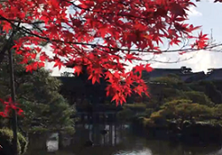 平安神宮の真っ赤な紅葉