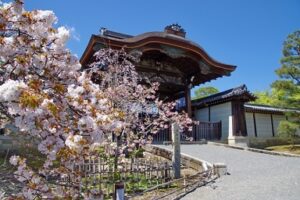 御室桜と仁和寺