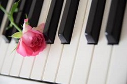 ピアノの鍵盤とバラの花